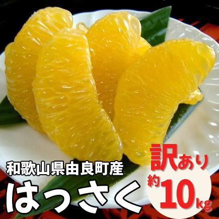 【ふるさと納税】和歌山由良町産さつきはっさく 約10kg ［訳あり ご家庭用 赤秀・青秀］サイズ混合 ［SL42］ | フルーツ 果物 くだもの 食品 人気 おすすめ 送料無料