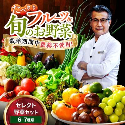 ふるさと納税 大洲市 【シェフの目線】 野菜×フルーツセット 6から7種 単身・二人暮らし用セット [AGBX047]