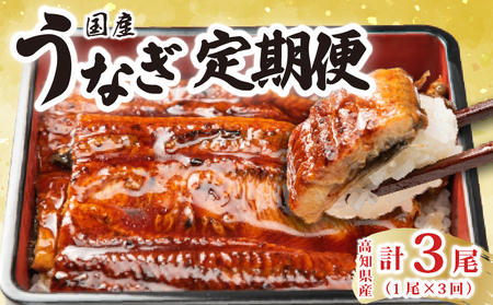 うなぎ蒲焼き 1尾 定期便 3回 うなぎ BE017