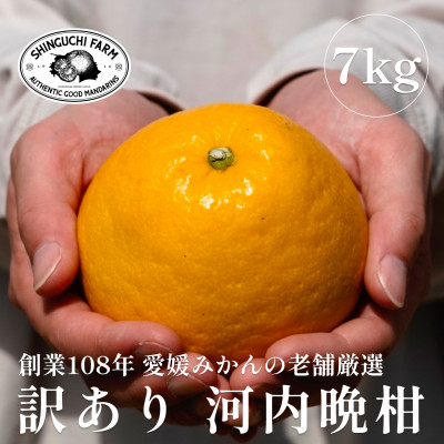愛媛みかんの老舗【河内晩柑 訳あり 7kg】新口農園【C70−45】【1537315】
