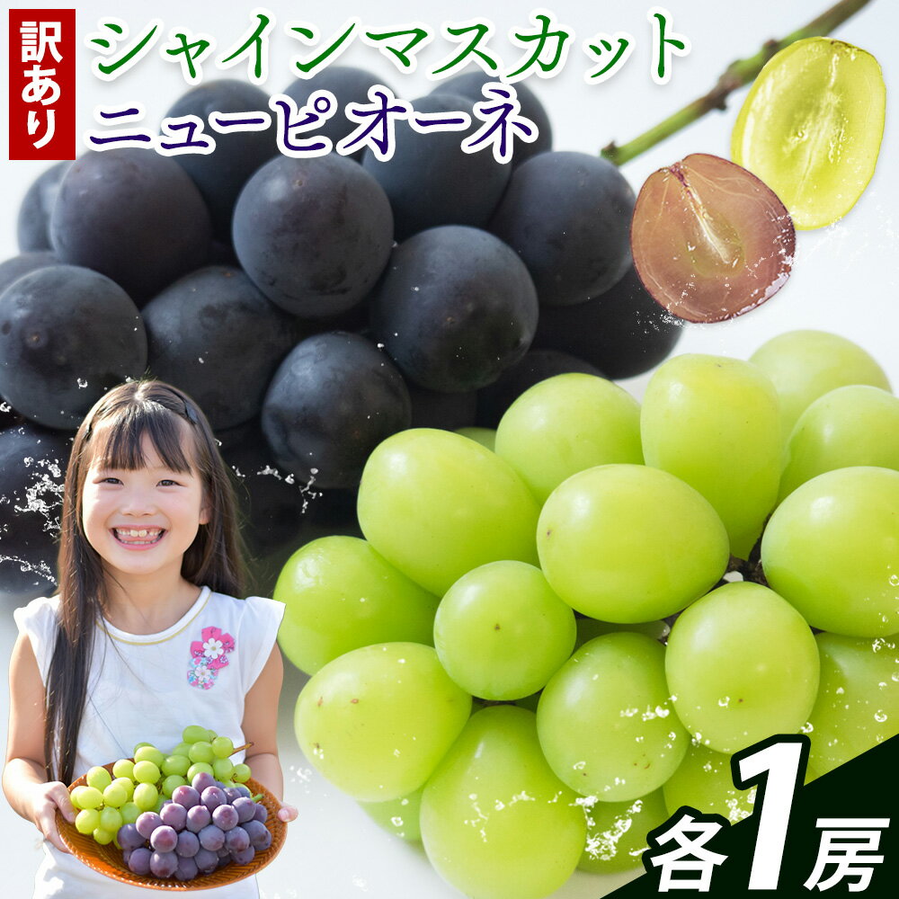 【ふるさと納税】岡山県産 ニューピオーネ シャインマスカット ぶどう詰め合わせ 詰め合わせ 約1.2kg 2房 葡萄 果物 訳あり 優品 厳選出荷 スイーツ フルーツ デザート 岡山県 笠岡市《9月上旬～11月上旬頃に出荷予定(土日祝除く)》数量限定 種なしぶどう
