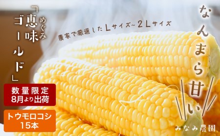 なんまら甘くて食べやすい！2025年 8月より出荷！「 恵味ゴールド 」15本セット とうきび とうもろこし 野菜 コーン 北海道 千歳　