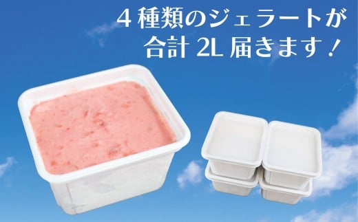ジェラート 2L 500ml ✕ 4種類 セット 大容量 アイス 卵不使用 おまかせ 詰め合わせ 手作り アイスクリーム あいす じぇらーと スイーツ デザート 果物 野菜 旬 フルーツ プレゼント 