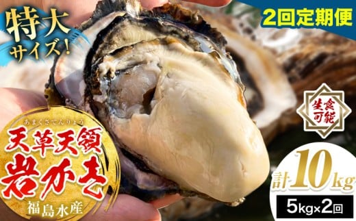 天領岩牡蠣 約5kg 2回 定期便 福島水産《2026年5月から出荷》熊本県 苓北町 牡蠣 かき カキ 岩カキ 岩ガキ 貝 BIG ビッグ 生食 バーベキュー 夏天草 天領 苓北 熊本 旬 シーズン 送料無料【配送不可地域あり】