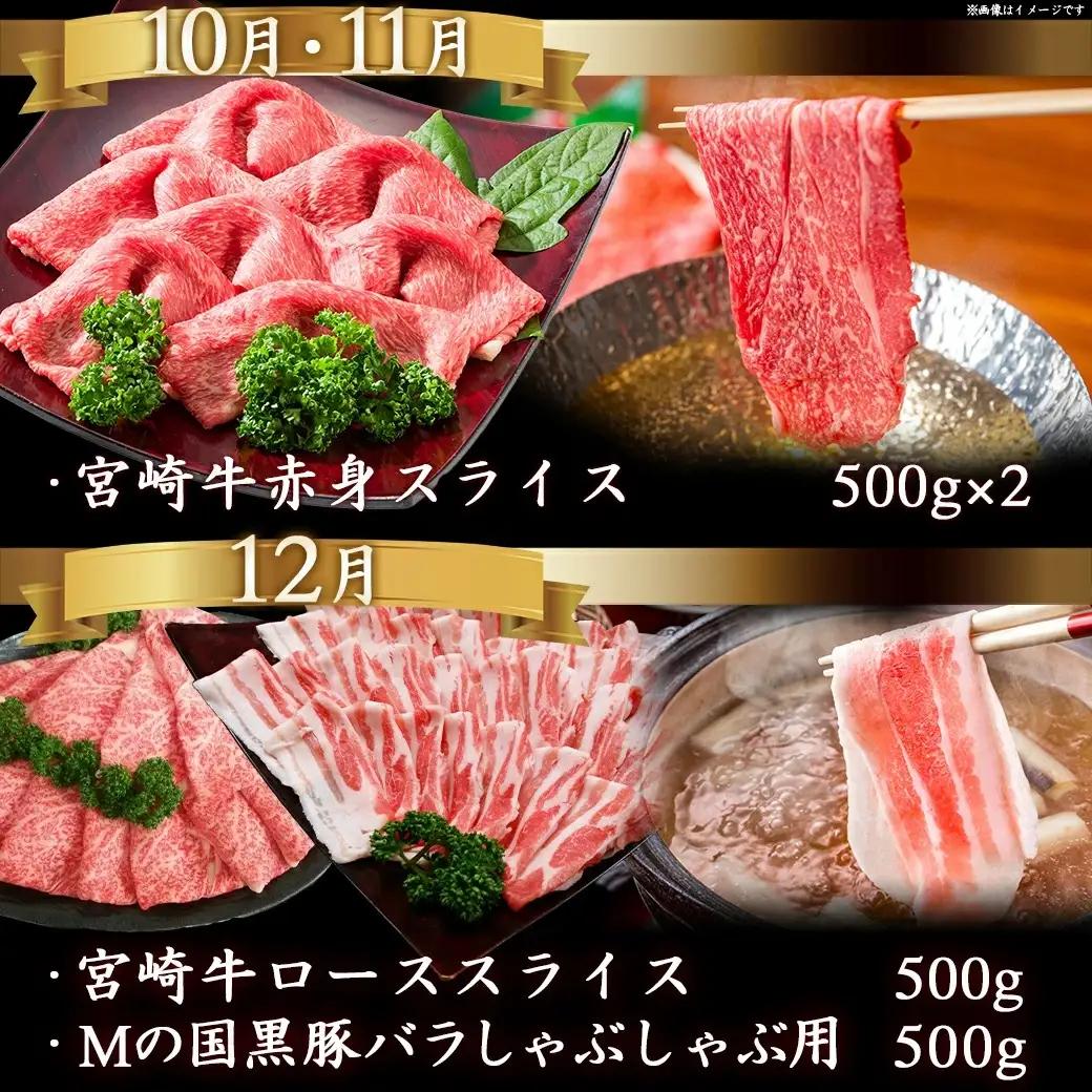 迷ったらコレ!宮崎牛食べ尽くし定期便(10ヵ月)〔T120（10）-0101〕_(都城市)A5 5等級 牛肉 バラ 赤身 サーロインステーキ ヒレステーキ ロース 焼き肉 しゃぶしゃぶ すき焼き スラ