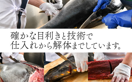【冷蔵・指定日着可】生本マグロ大トロ 約250g 2～3人前 [A-066007] / 国産 まぐろ 鮪 さく 柵どり 冷蔵 真空パック ヘルシー 2人前 3人前 新鮮 刺身 丼