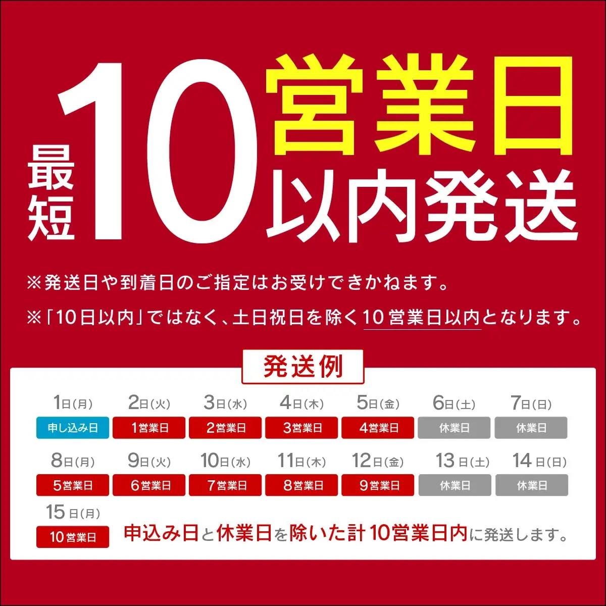 ＜最短10営業日以内発送＞5～6人前 絶品塩もつ鍋セット（600g）