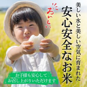 コシヒカリ 3kg 1袋 ミネラルウォーター 2L 4本 セット / 国産 こしひかり 3キロ 令和7年 新米 米 お米 保存袋 水 天然水 飲料水 生活必需品 ギフト 贈り物 お歳暮 ふるさと納税 