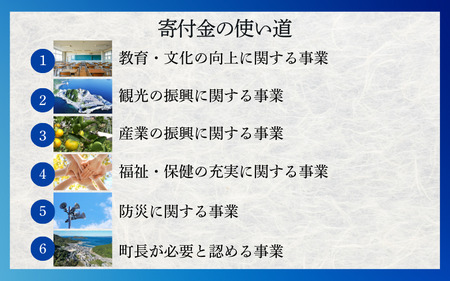 和歌山県由良町『応援寄付金』【返礼品なし】 1口：5,000円 / 由良 ゆら ゆら町 和歌山県 おうえん 応援 しえん 支援 応援したい おうえん寄付金 応援寄付金 寄付のみ 返礼品なし 返礼品なし