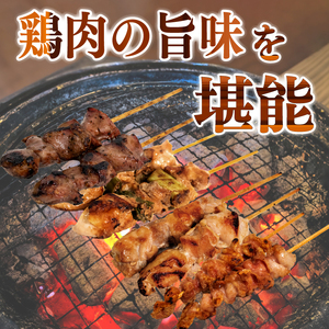 焼き鳥 5種 25本 セット タレ付き 国産 もも 皮 砂ぎも ねぎま 鶏肉 とりにく