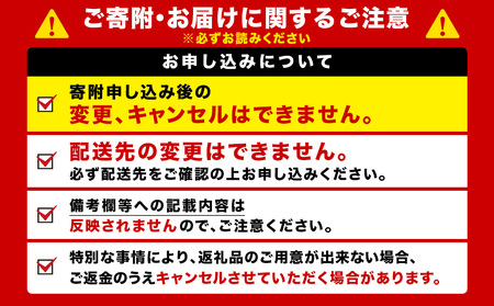 【定期便11ヶ月】キリン一番搾り生ビール 500ml（24本）＜北海道千歳工場産＞