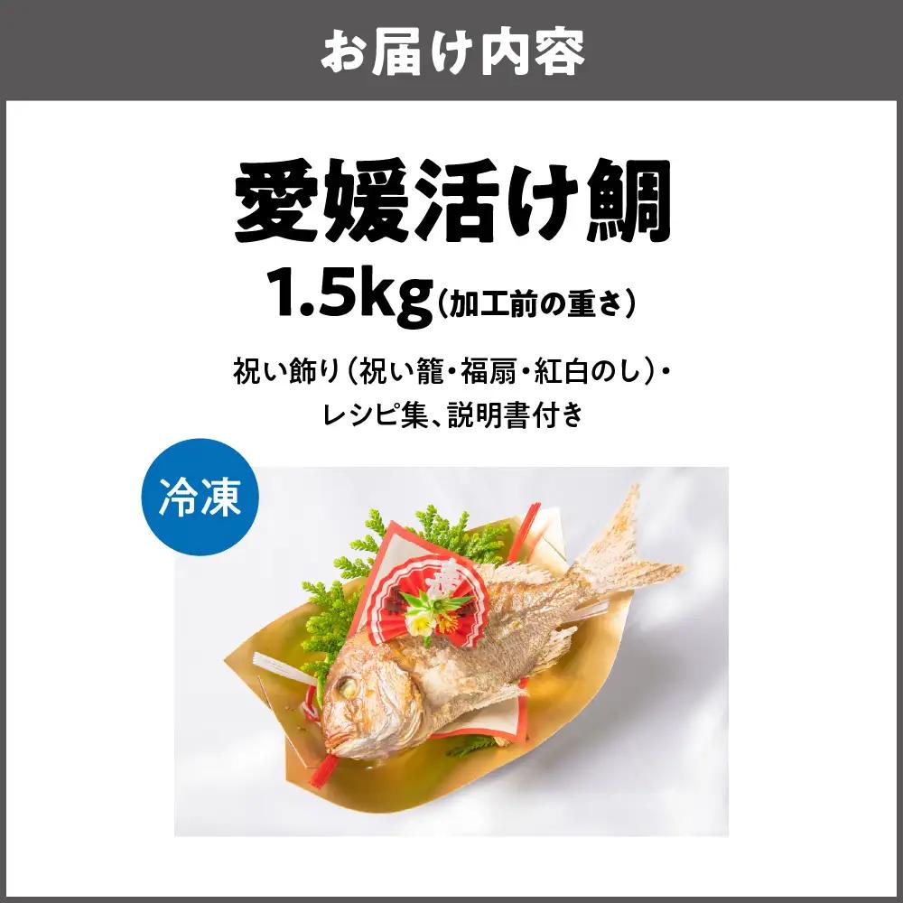 【商店街逸品】天然祝鯛 炭火焼 1.5kgアップ（愛媛活け鯛）_OS389-0003-03