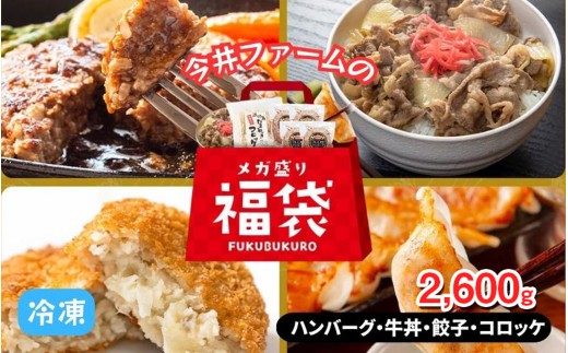 今井ファームのメガ盛り冷凍福袋 ハンバーグ 4個 牛丼 4食 餃子 40個 コロッケ 10個 計2,600g / 冷凍食品 福袋 詰合せ 詰め合わせ セット 牛肉コロッケ 淡路島 淡路 淡路島産 玉ねぎ 惣菜 おかず 便利 時短 簡単調理 時短調理 兵庫県