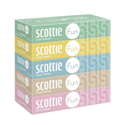 ふるさと納税 秋田市 《4回定期便》スコッティ ティシュー ファン 150組 5箱×12|15_nsc-141204 |  | 03