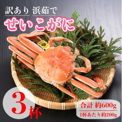 【2025年11月中旬頃より順次発送】【訳あり】《浜茹で》越前産せいこがに3杯(生で合計約600g)【配送不可地域：離島・北海道・沖縄】【1611475】