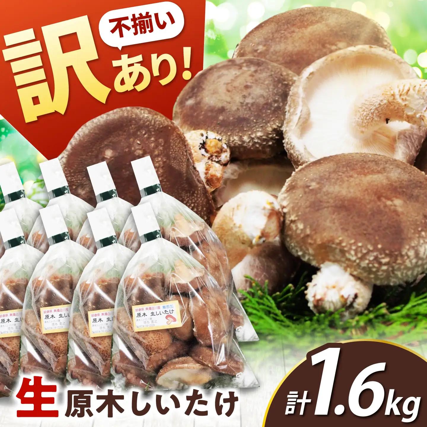 【訳あり】不揃い 原木しいたけ 1.6kg（200g×8袋）清水しいたけ園[AWAY004]訳ありシイタケ