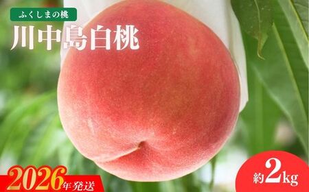 No.2212 もも「川中島白桃」約2kg【2026年発送】