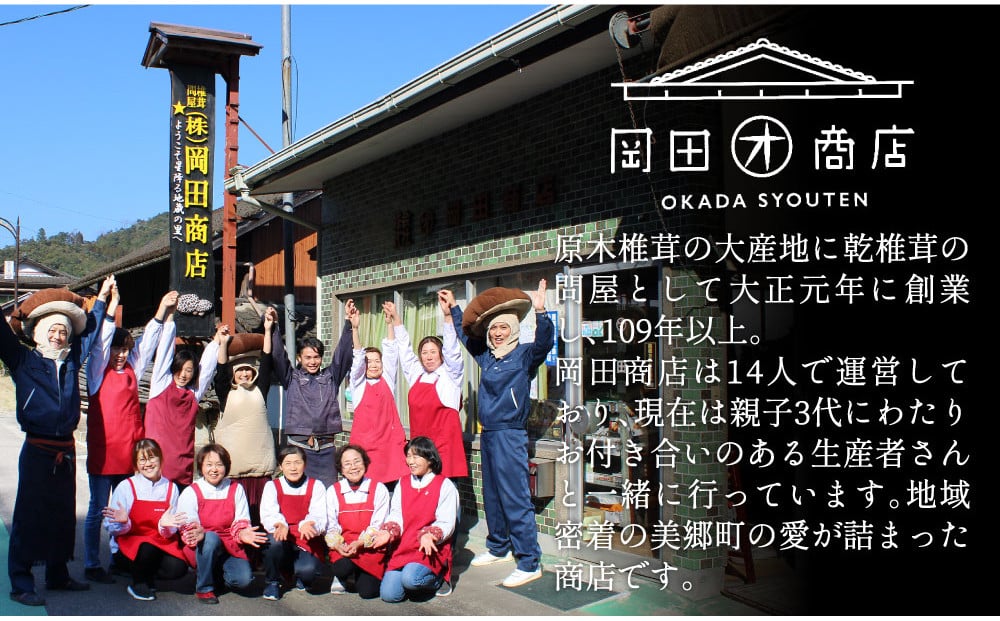 宮崎県産 乾椎茸 ギフト どんこ 「TD-20」 165g 肉厚 [岡田商店 宮崎県 美郷町 31ac0059] 乾燥 干し椎茸 干ししいたけ 国内産 九州産 宮崎県産 ギフト 贈り物 贈答用 プレゼ