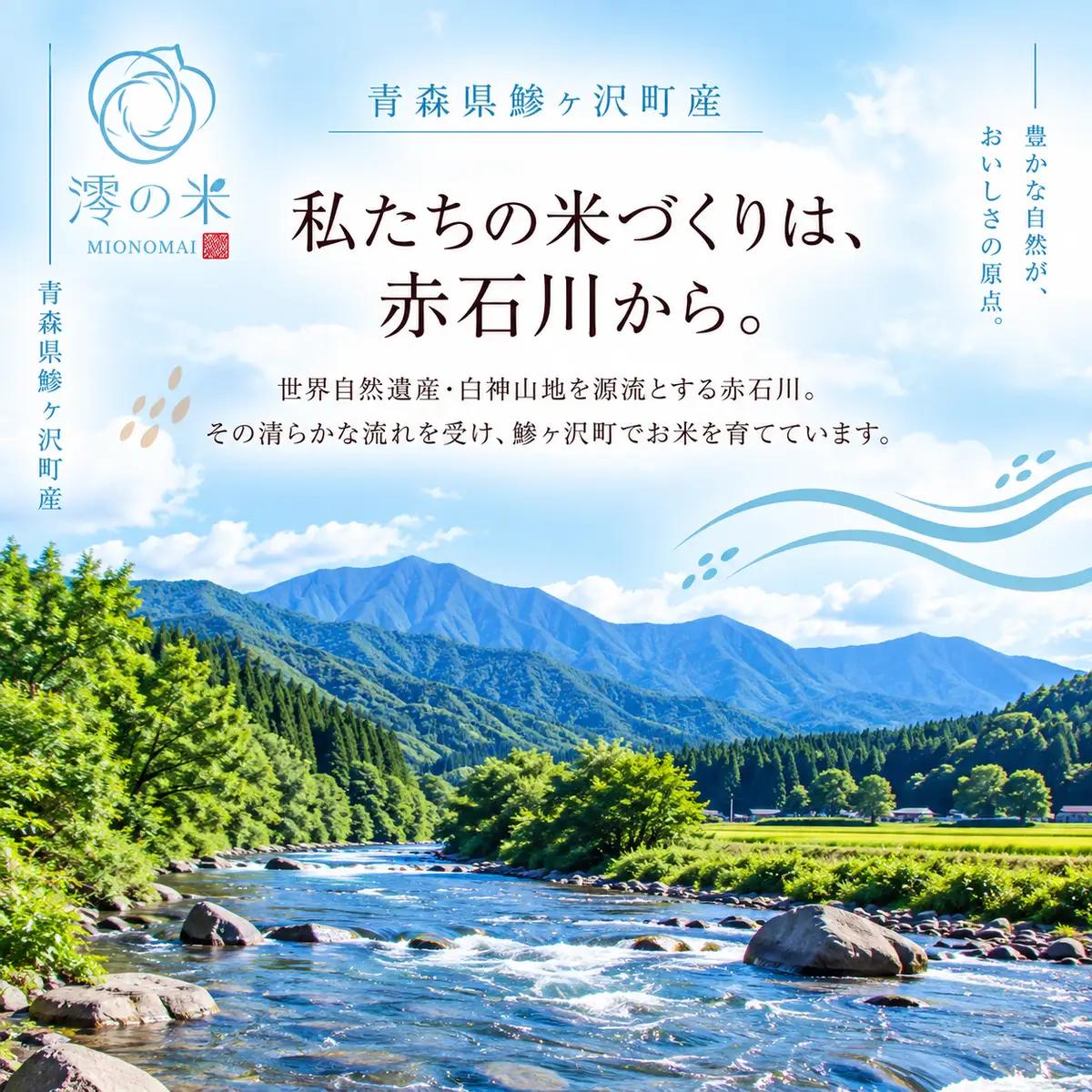 【6回定期便】米 10kg 玄米 はれわたり イワモトファーム 青森県産 令和8年産 6ヶ月 定期便 新米 健康 栄養 食物繊維 ブランド米 直送 農家直送 お取り寄せ お米 こめ コメ 国産 もっち