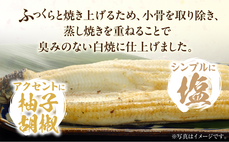 うなぎ白焼(超特大サイズ) 2尾 うなぎ ウナギ 鰻 白焼 超特大 特大 2尾 たれ タレ 鰻のタレ うなぎのタレ 惣菜 贈答 贈り物 ギフト プレゼント ご褒美 手土産 お祝い 内祝い 土用丑の日 
