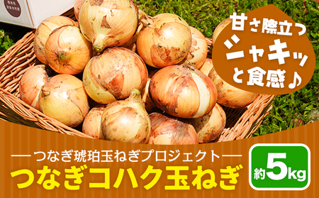 玉ねぎ つなぎコハク玉ねぎ 5kg《4月中旬-5月中旬出荷》熊本県 葦北郡 津奈木町 つなぎ琥珀玉ねぎプロジェクト 野菜 たまねぎ