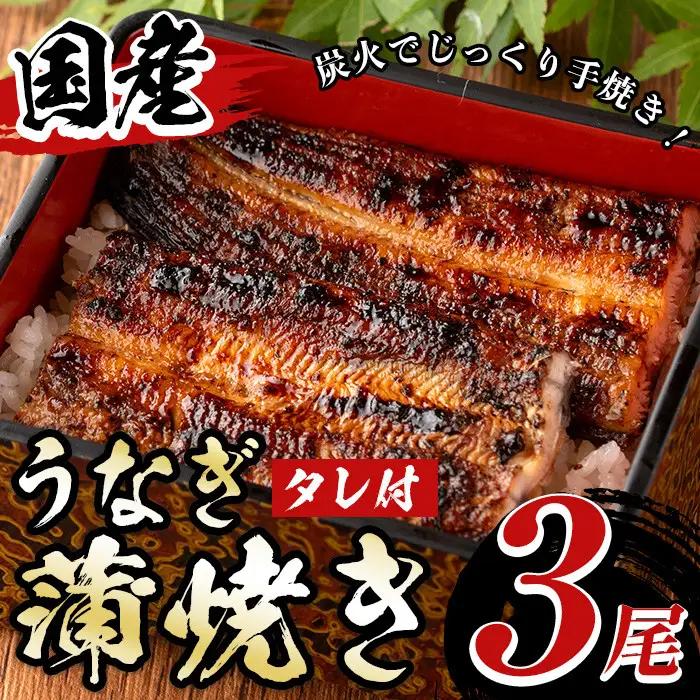 国産！うなぎ蒲焼き(3尾・タレ付き) 国産 九州産 鹿児島県 宮崎県 鰻 ウナギ unagi うな重 うな丼 ひつまぶし うなじゅう 蒲焼 かばやき 無頭 魚 魚介類 土用 丑の日 タレ タレ付 おかず 惣菜 冷蔵 特産品 お土産 ギフト プレゼント ご贈答 真空パック 湯煎 レンジ 簡単調理 【尾方屋】_A01
