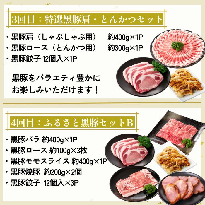 【D02007】 ＜定期便・全5回＞かごしま黒豚まんぞく定期便B (月1回×5ヶ月)_イメージ3