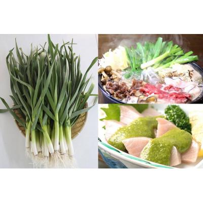 ふるさと納税 須崎市 高知県産 冷凍オーガニック葉ニンニク150g×35袋(有機JAS認証品) |  | 02