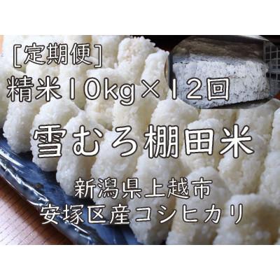 ふるさと納税 上越市 【毎月定期便】雪むろ棚田米コシヒカリ10kg(10kg×1袋)精米-新潟県上越市安塚区産-全12回