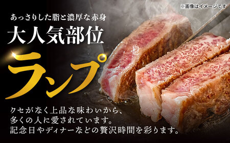 【12回定期便】ランプ ステーキ 300g（150g×2枚） / ステーキ 長崎和牛 A5ランク 希少部位 A5 / 諫早市 / 野中精肉店 [AHCW034]