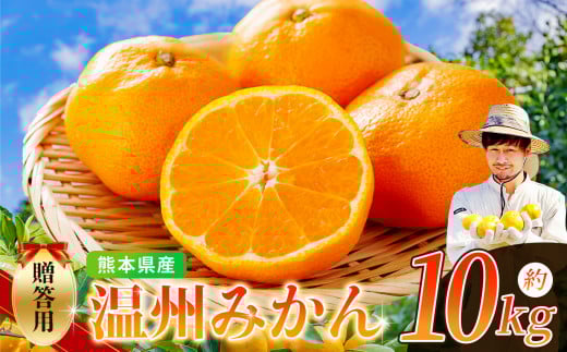 ノナカ柑橘農園 の 温州みかん 10kg | フルーツ 果物 くだもの 柑橘 みかん ミカン 温州ミカン 熊本県 玉名市