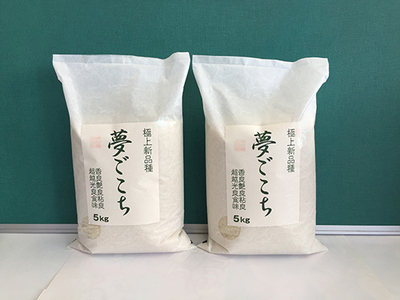 【PRキャンペーン対象】 新米 令和7年産 夢ごこち 10kg 白米 【T035W2】 近江米 ご飯 精米 5kg 2袋 新米