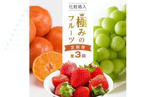 【全3回】極みのフルーツ定期便 (化粧箱入り)
