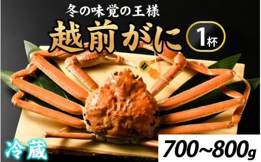 先行予約【市場直送】冬の王者！茹で越前がに700-800g　１杯【11月中旬より順次発送、年末年始対応不可】 [I-065039] / かに 蟹 ずわい ズワイ 茹でがに