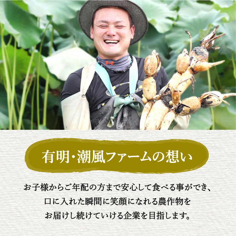 佐賀県産 豚肉 肥前さくらポーク 豚ロールステーキ 80g×12個 180-L046