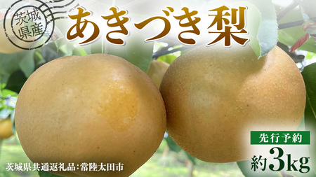 【 先行予約 】茨城県産 梨 あきづき 約3kg 6玉～7玉( 茨城県共通返礼品 : 常陸太田市 ) 【 2026年 9月中旬頃より発送 】