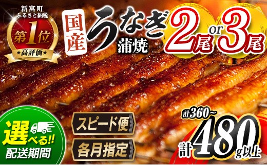 
                  ＜選べる!!数量＆配送期間＞うなぎ 鰻楽 国産 蒲焼 2尾 3尾 父の日 土用 丑の日 3営業日以内出荷 無頭 高評価 おすすめ 冷凍 簡単調理 個包装 鰻 魚介 贈答品 ギフト 贈り物【B555-C444-mult】
                