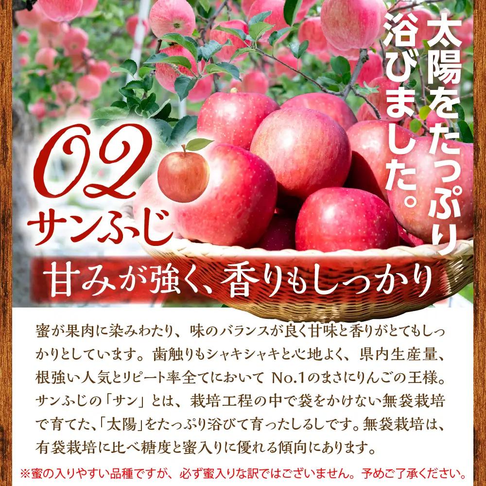 【2026年12月上旬発送】 りんご 約5kg 青森県産 《贈答用》 りんご4品種食べ比べ