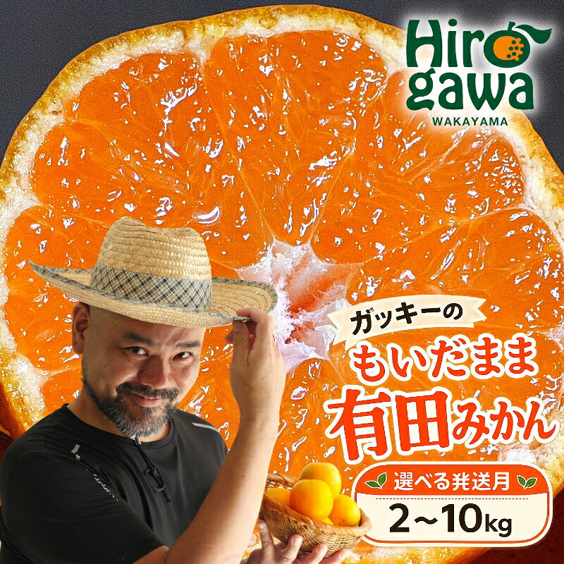 【ふるさと納税】 有田みかん 訳あり 選べる内容量 2kg 5kg 10kg 選べる配送月 もいだまま 無選別 / 有田 みかん 温州みかん 蜜柑 柑橘 和歌山 ※2026年10月上旬～12月下旬に順次発送 //mandarin