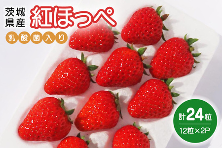 紅ほっぺ　『乳酸菌入りいちごパック』　12粒×2 19-K