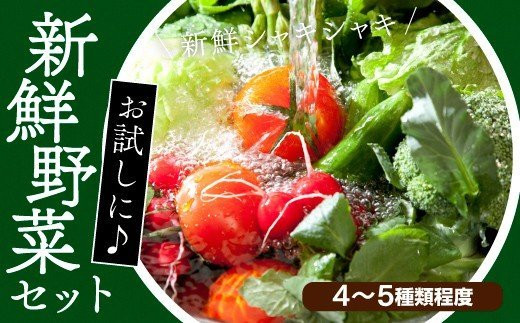 116001　ちょこっと野菜セット  お野菜 季節 野菜 旬 新鮮 産地直送 詰め合わせ やさい おいしい 自然 セット  おまかせ 詰合せ 旬の野菜 お試し 4～5種類 少量/高知県奈半利町