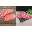 【ふるさと納税】伊賀牛 ヒレステーキ（約180g×2枚）＆サーロインステーキ（約200g×2枚）セット | 肉 伊賀牛 牛肉 焼肉 ヒレ サーロイン ステーキ 食品 セット 詰め合わせ 送料無料 楽天ふるさと 納税 返礼品 お取り寄せグルメ 取り寄せ お取り寄せ 三重 伊賀