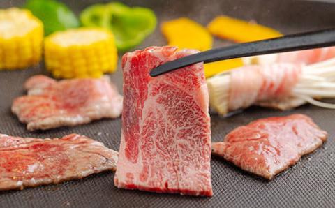 《A5・A4ランク》宮崎牛焼肉(肩ロース)約400g 内閣総理大臣賞受賞の黒毛和牛 [ブランド牛 牛肉] TF0572-P00012