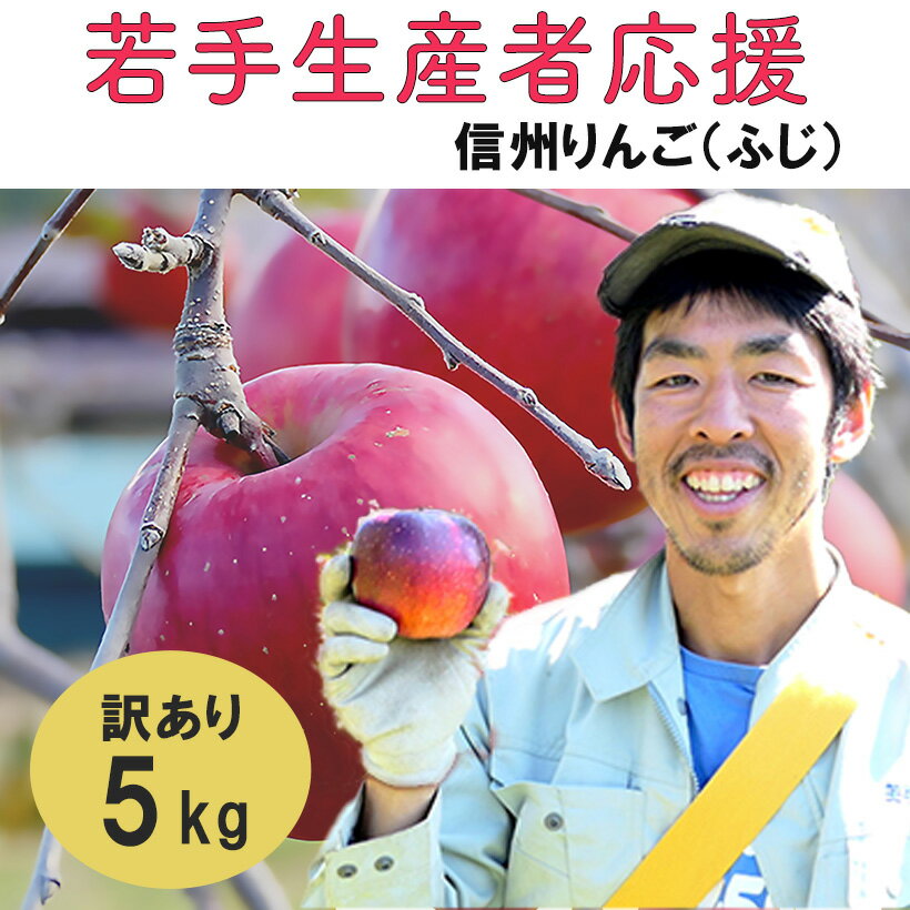 【ふるさと納税】 訳あり りんご 5kg 期間限定 【若手生産者応援】 ふじ 川上啓介 果物 フルーツ 先行 予約 信州 麻績村 不揃い 規格外 家庭用