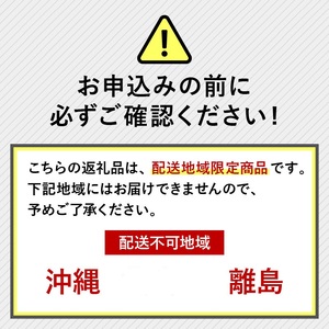 【 オンライン決済限定 】 梨 藤里梨 3kg ( 6玉 ~ 9玉 )  | 梨梨梨梨