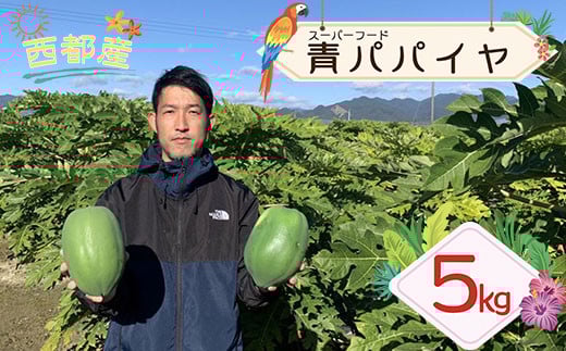【健康志向の方おすすめ！】安達農園　西都市産『青パパイヤ』先行予約＜1-234＞★　　　
