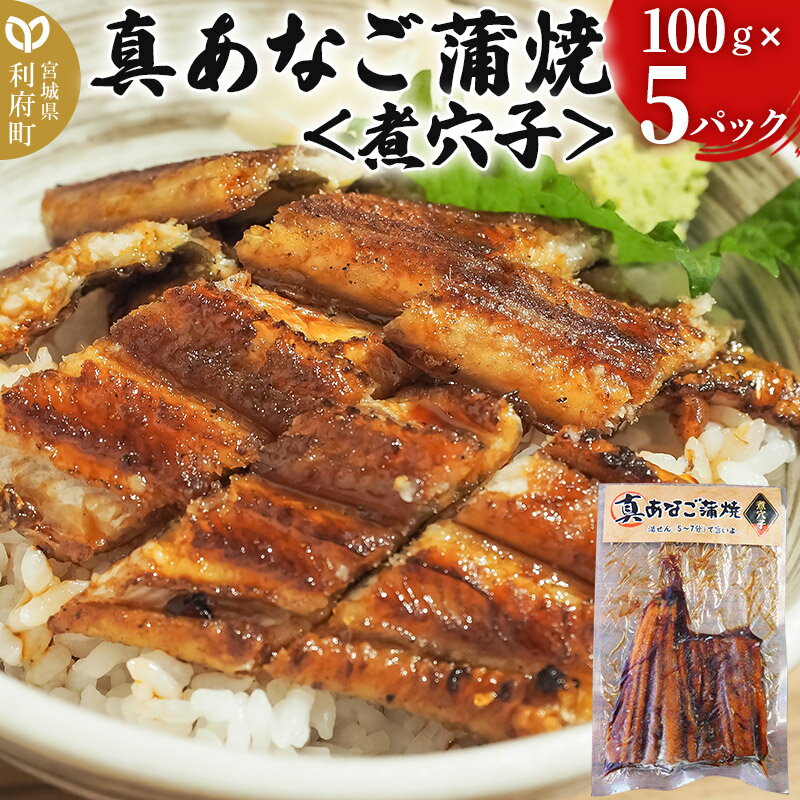 【ふるさと納税】真あなご蒲焼＜煮穴子＞ 100g×5P