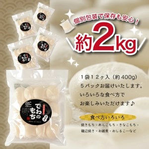 SA3032　でわのもち　丸もち60個(12個入×5パック) AG