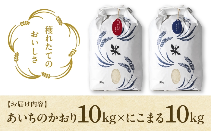 お米 精米 白米 ご飯 ごはん 特別栽培米 愛知県産 米 20kg 20キロ