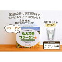 【ふるさと納税】【食物繊維/難消化性デキストリン 】なんできコラーゲンα【6g×30包×10箱セット】 | 食品 加工食品 人気 おすすめ 送料無料